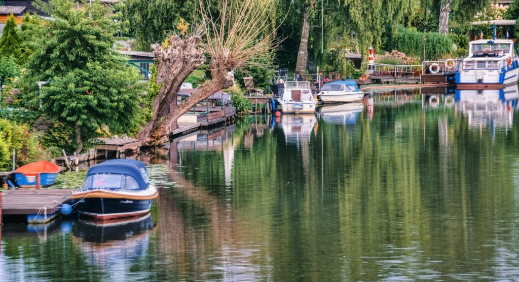 Person paddling a kayak on a calm river surrounded by lush green trees