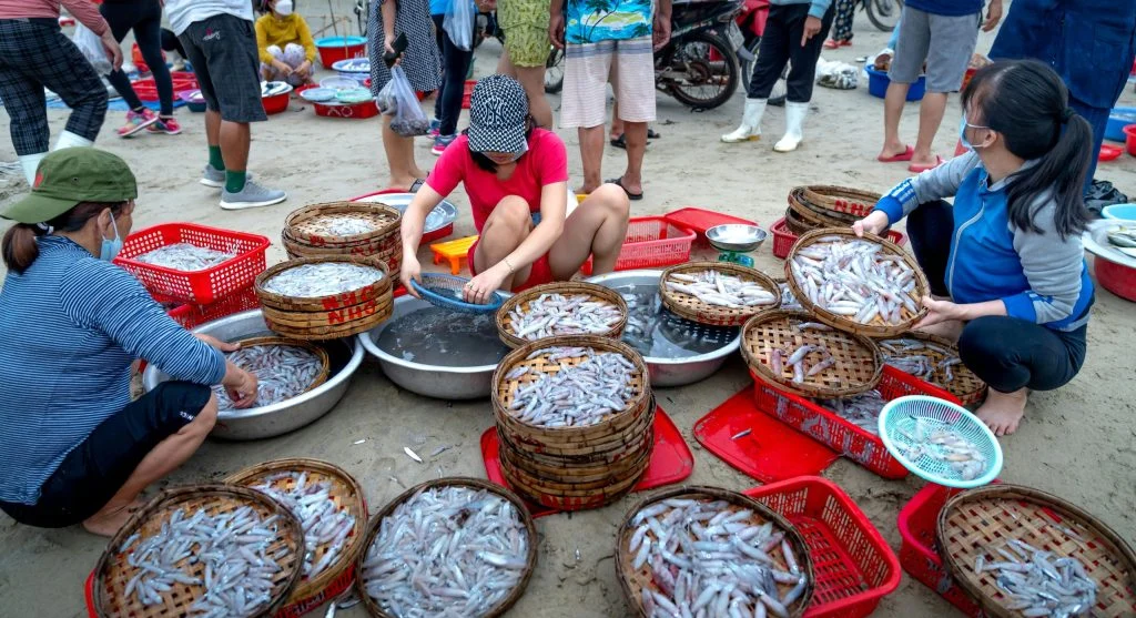 Scenic coastal view with seafood market in the background
