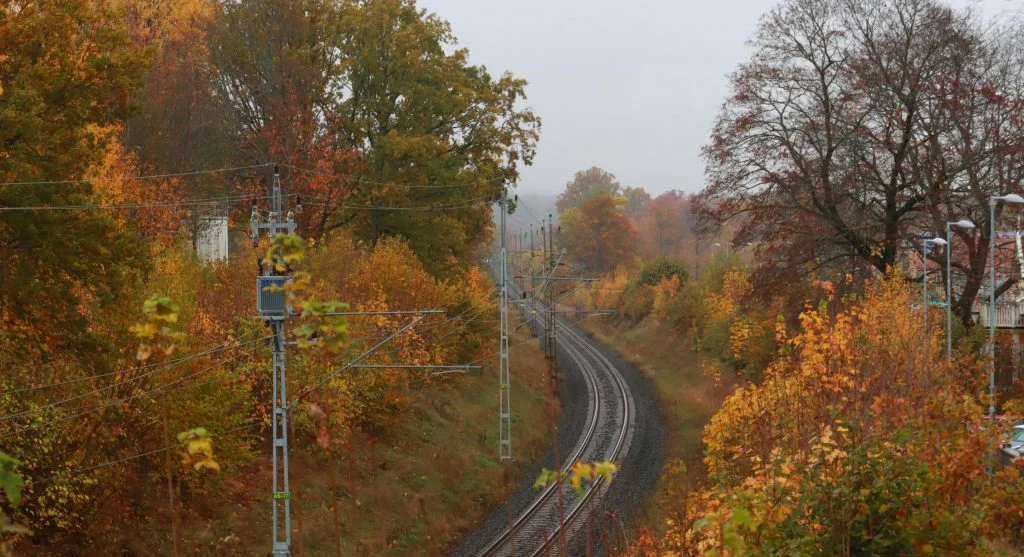 autumn forest scenic rail trip view