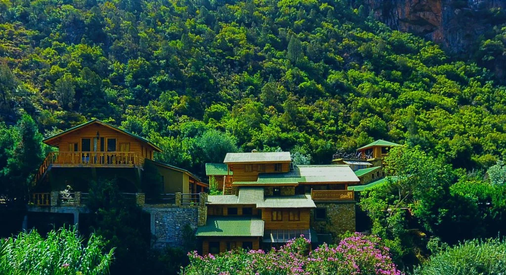 Boutique hospitality at forest river cabin retreats