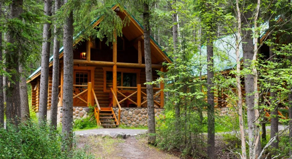 luxury cabins by river in forest