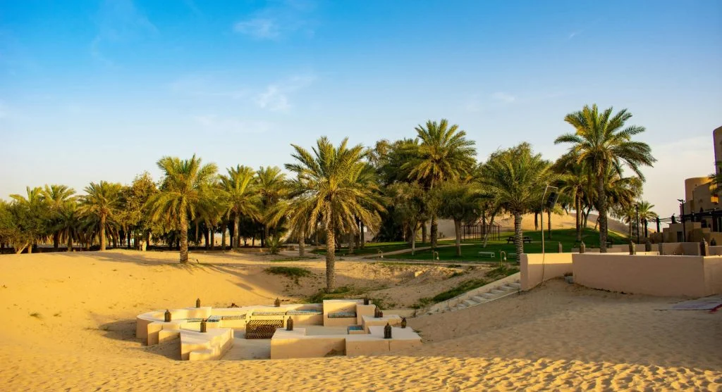 Tourist taking a photo at a serene desert oasis
