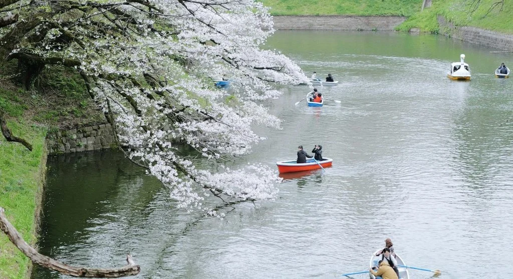 Why Spring Canal Vacations Are Becoming More Popular in Europe