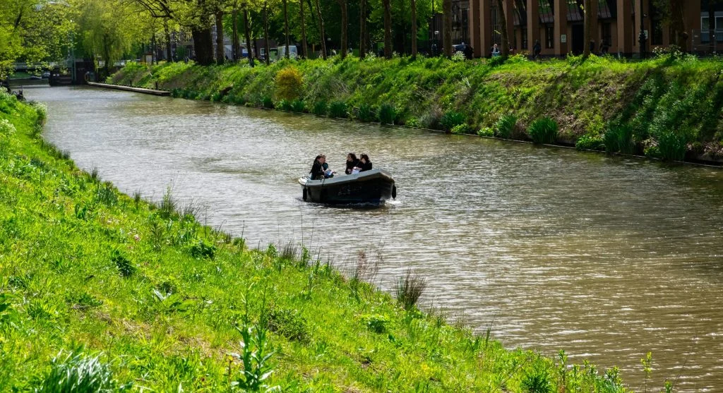 tulip river cruise scenic views