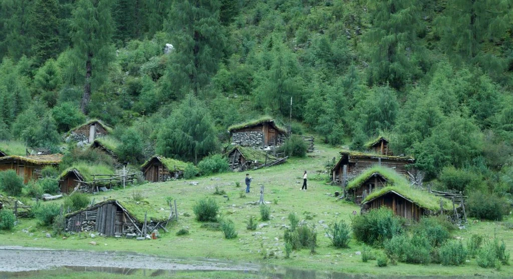 Photography tourism near forest river cabins