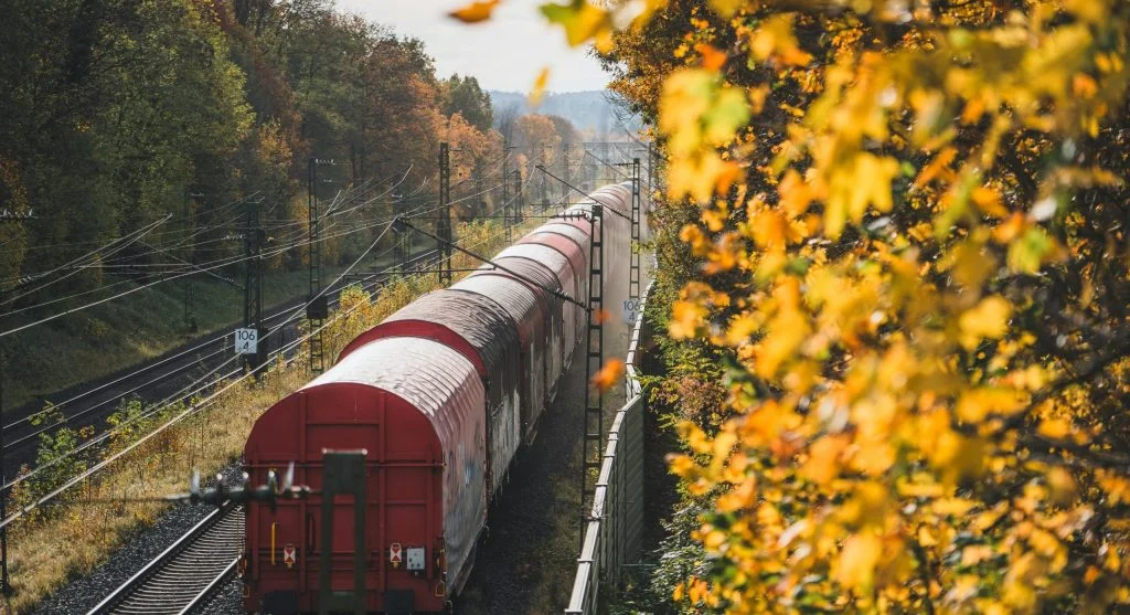 seasonal dining on autumn forest train