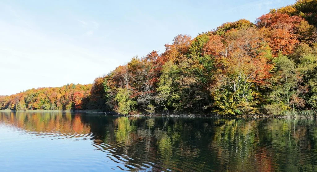 Autumn hiking trail beside a serene lake