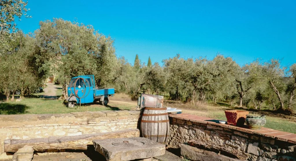 Why Countryside Olive Oil Tours Are Growing in Luxury Travel