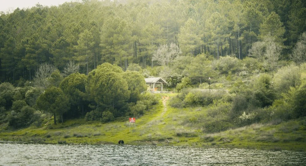 Hikers taking photos of a serene lake during a vacation