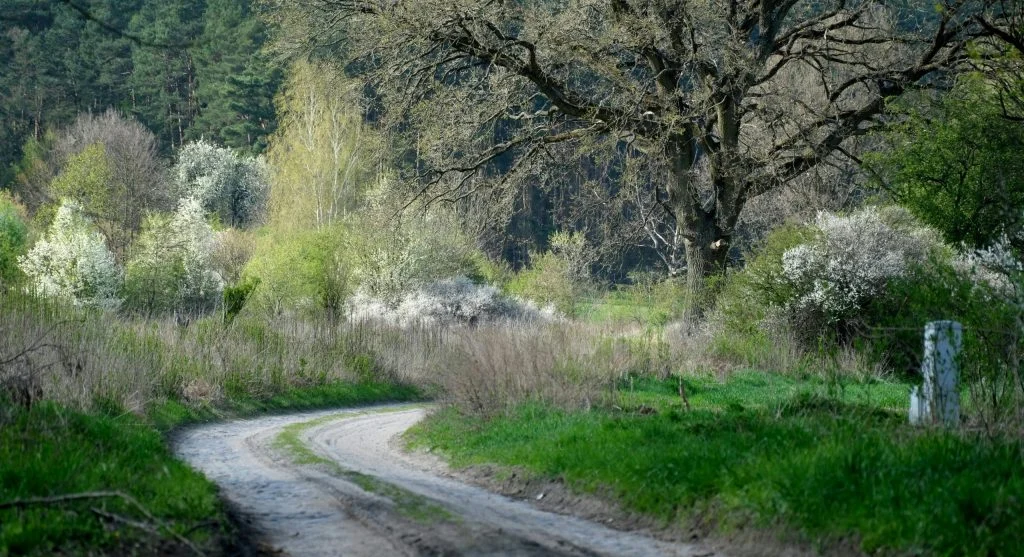 Cyclist riding beside a scenic river in the countryside