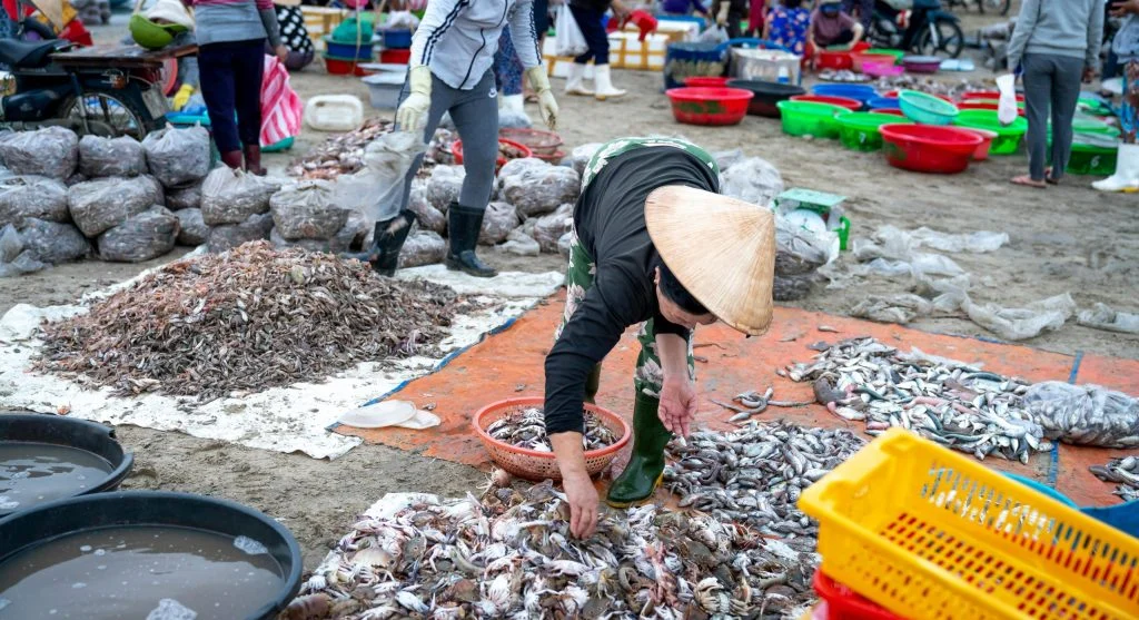 Fresh seafood on display at a bustling coastal market