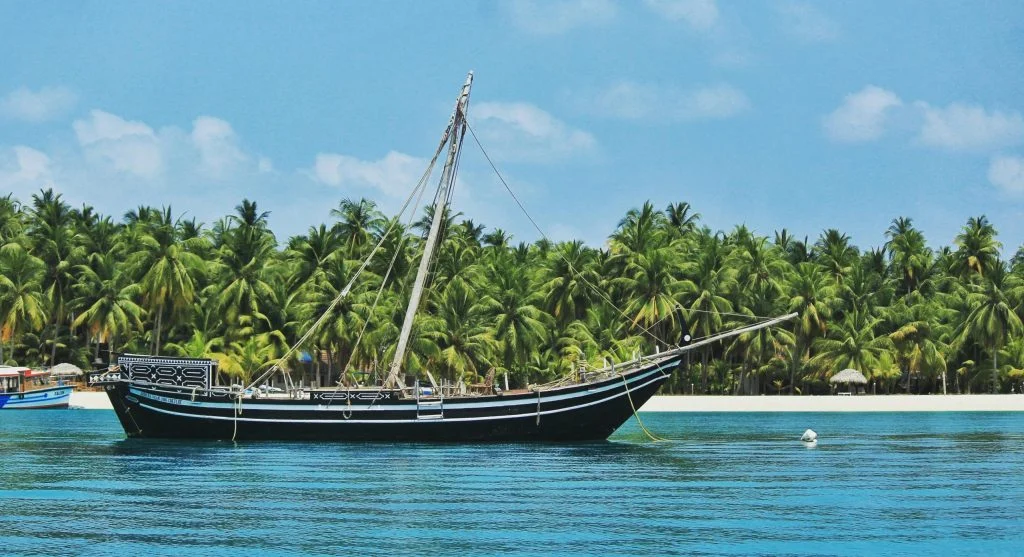 People snorkeling and swimming in crystal clear waters near a tropical island