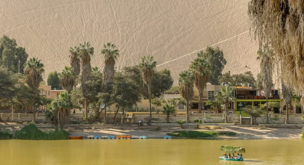 Scenic desert oasis landscape with palm trees and luxury resort