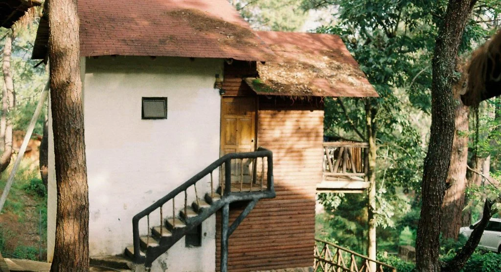 Serene forest cabin retreat surrounded by trees and a camera on a tripod