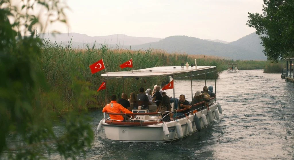 wildlife observation on river cruise