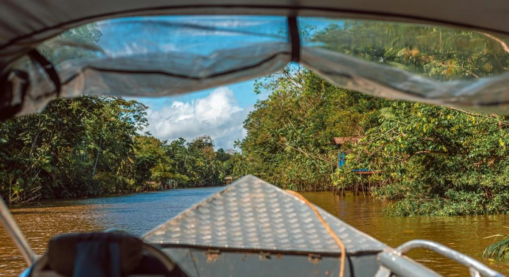 scenic river cruise in wilderness area